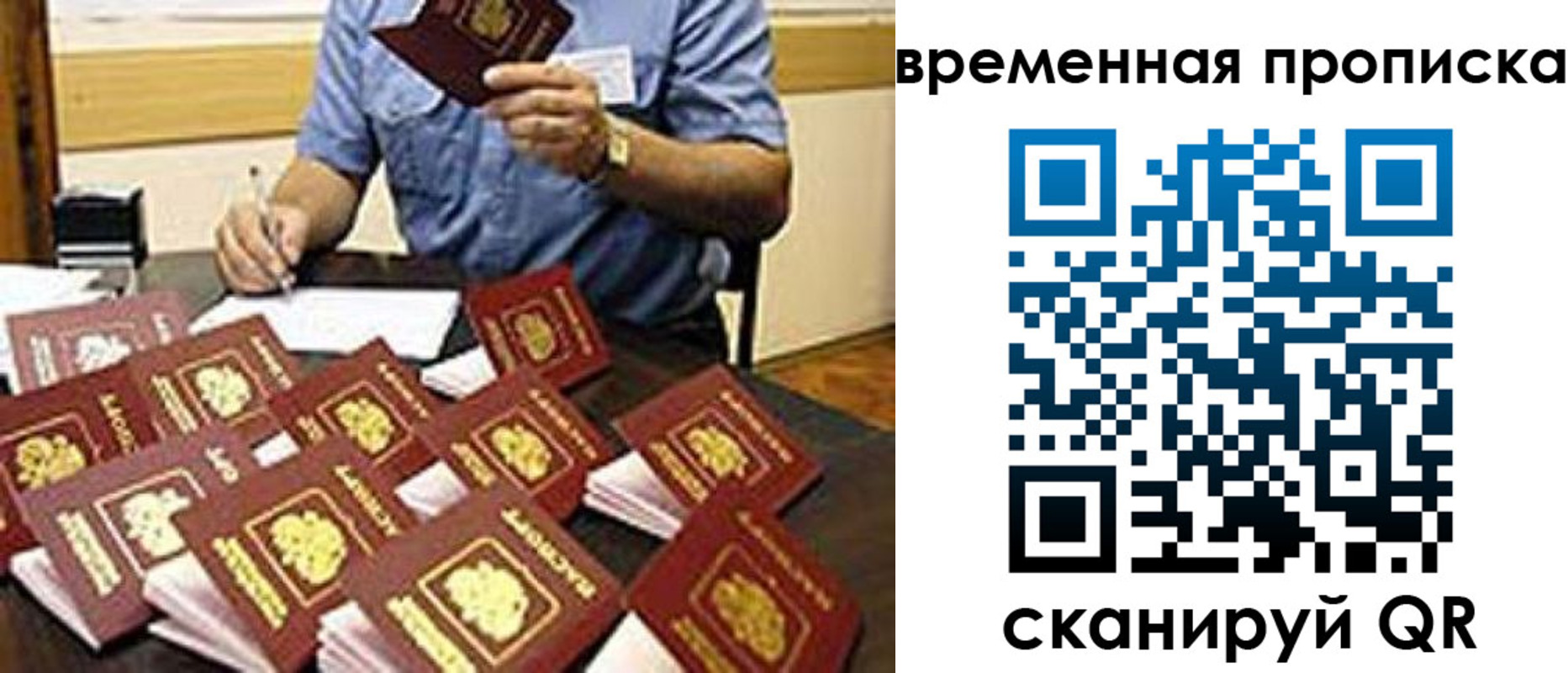 прописка для школы в Егорьевске